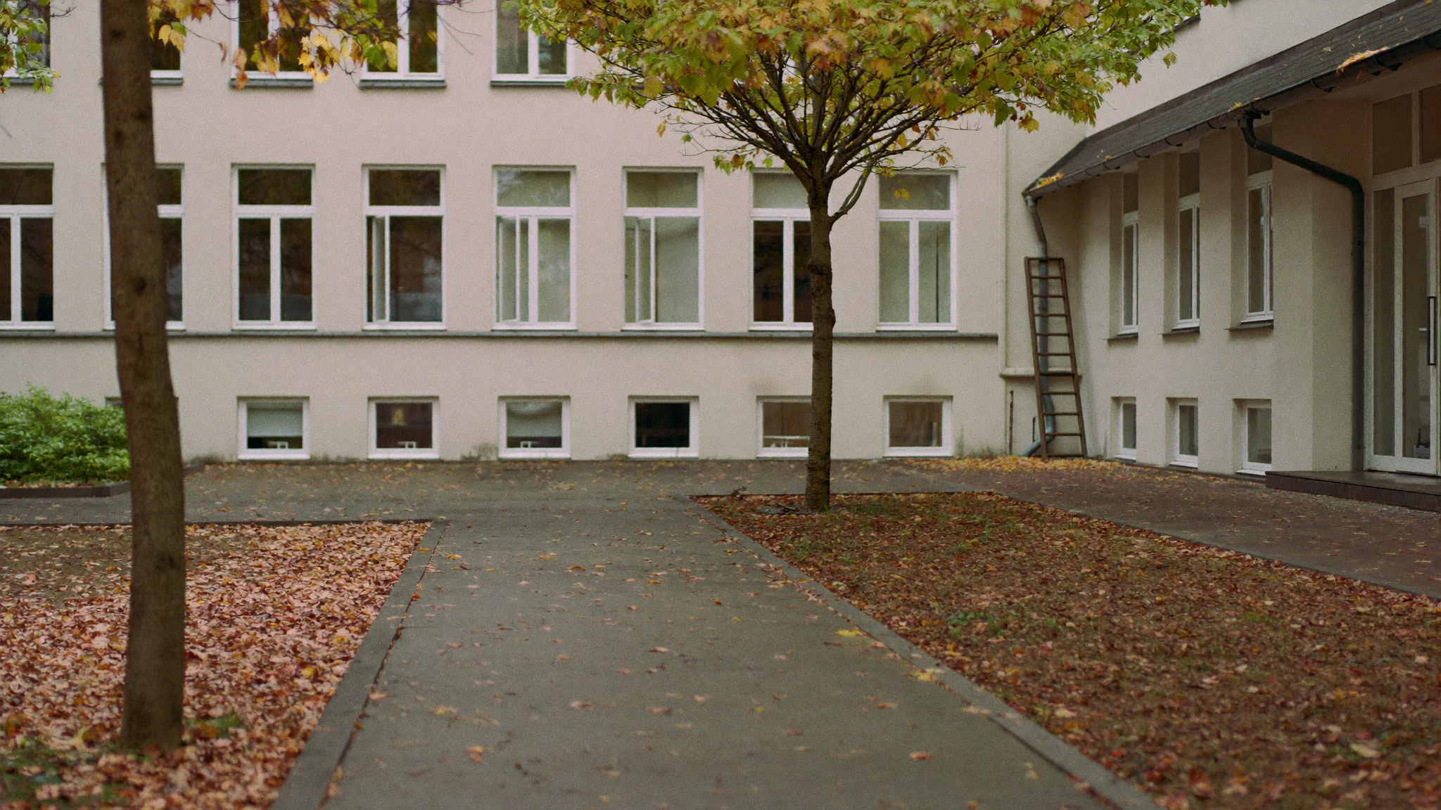 Hausmeisterdienst Berlin: Der Herbst-Check fürs Haus